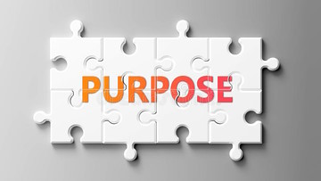 purpose of the project